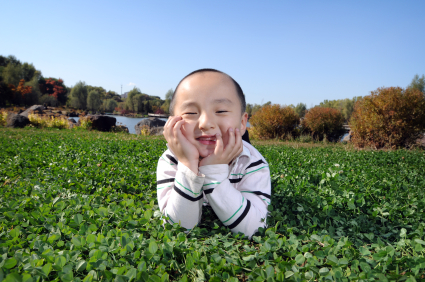 iStock_000010791151XSmall